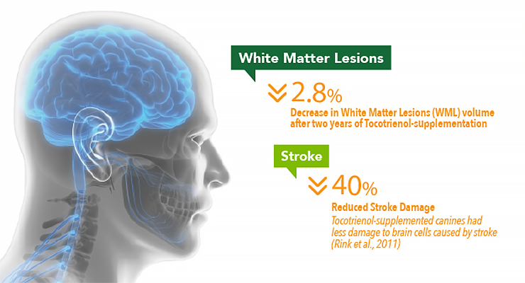 Food for Thought Tocotrienols & Brain Health